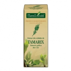Extract din mladite de CATINA ROSIE - Tamarix gallica 50 ml